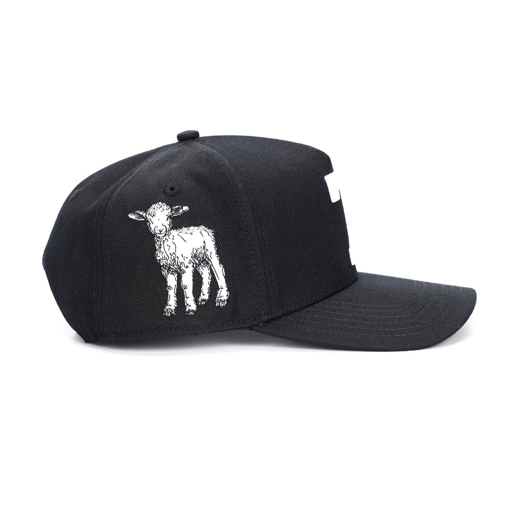 ‘7’ Wool-Blend Snapback — Black/White, 7 Collection